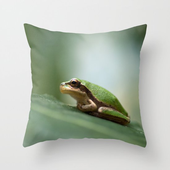 Mediterranean Tree Frog - Hyla meridionalis 8203 Throw Pillow