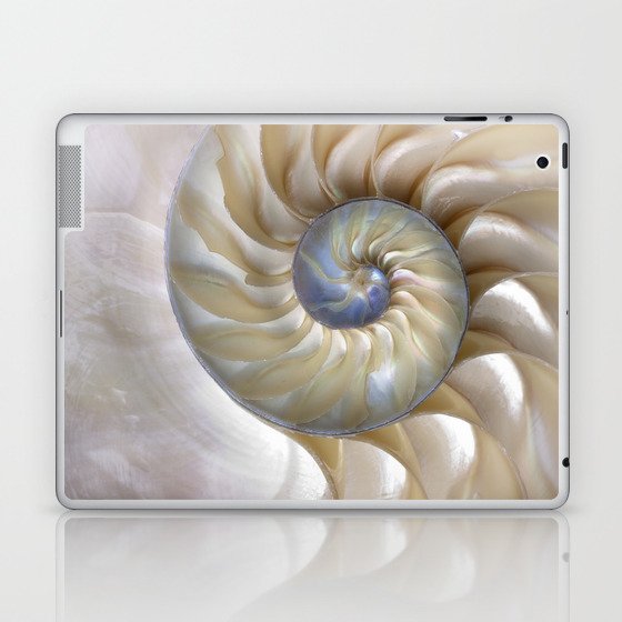 Nautilus Shell Laptop & iPad Skin