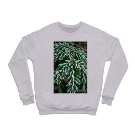 Frosted Hemlock Crewneck Sweatshirt