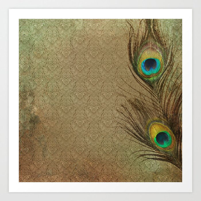 vintage peacock feather image