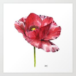 Red poppy Art Print