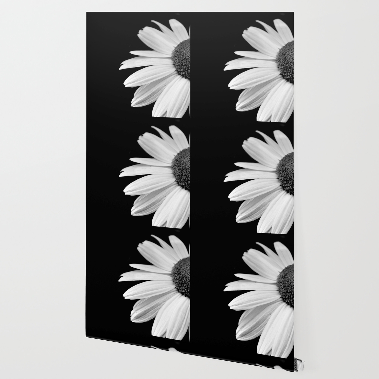 Half Daisy In Black And White Wallpaper By Byjwp Society6