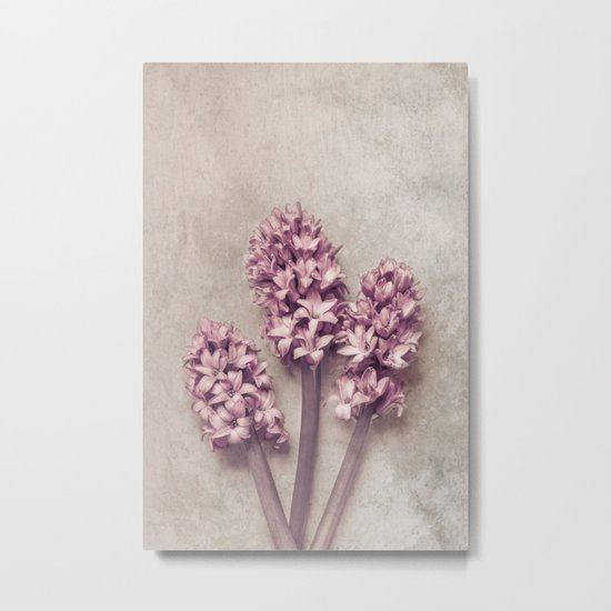 Lovely pink Hyacinths Metal Print
