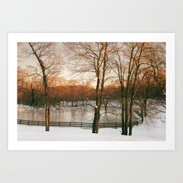 Pennsylvania Snowy Winter By The Pond Art Print
