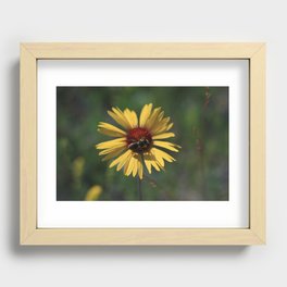 Honey Bee Recessed Framed Print
