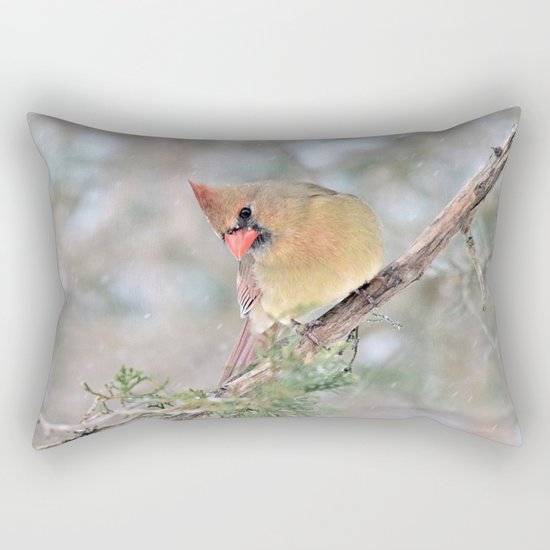 Insight: A Female Slant on the World Rectangular Pillow