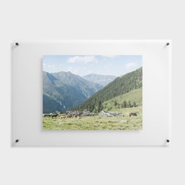 horses in the mountains of Innsbruck Austria  near a ruin - wall art print  Floating Acrylic Print