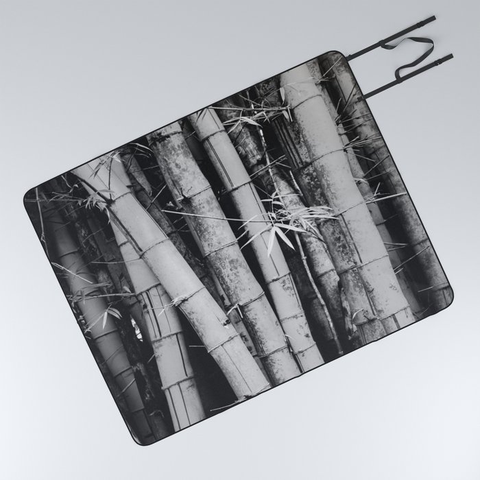 black and white large bamboo field  Picnic Blanket