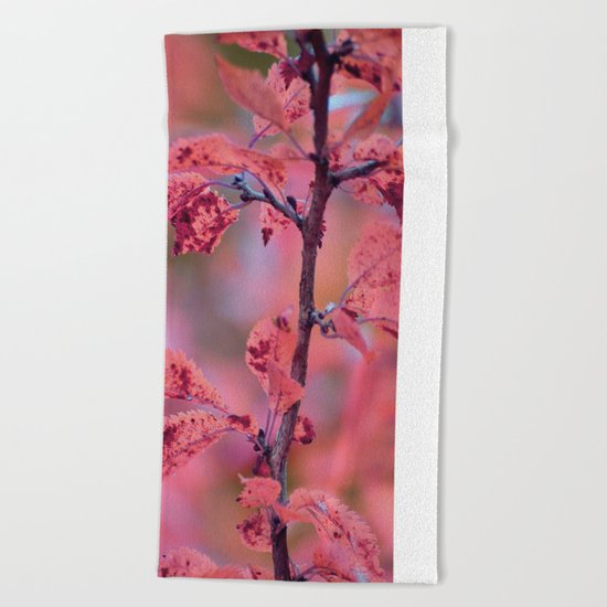 #17 Beach Towel