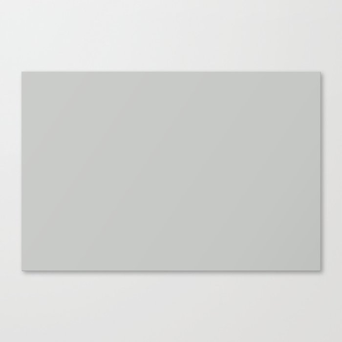 Soft Pale Stromy Gray - Grey Solid Color Pairs PPG Solitary State PPG1009-3 - All One Single Shade Canvas Print