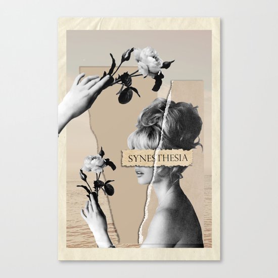 synesthesia Canvas Print