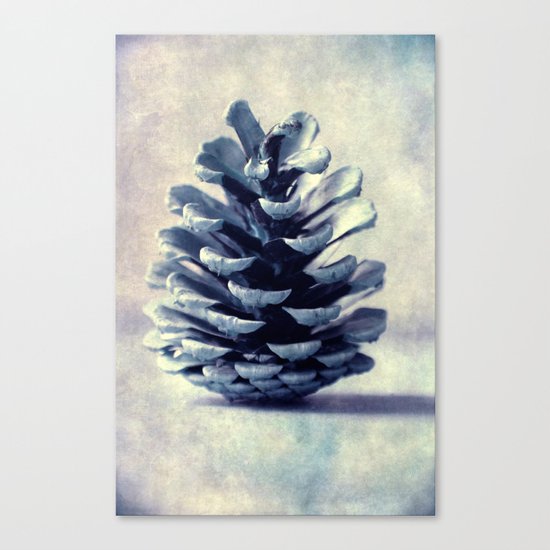 pinecone Canvas Print