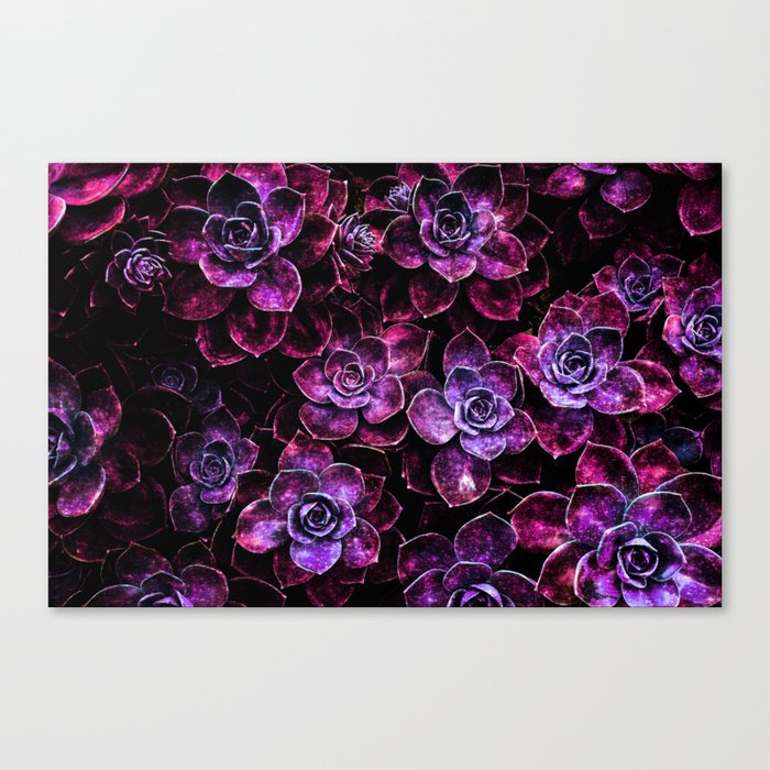Space Succulents Sparkle Magenta Purple Canvas Print