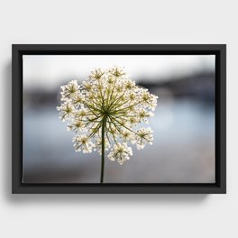 Floral Collection 13 Framed Canvas