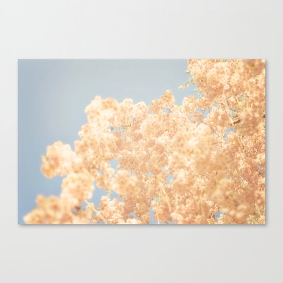 Cotton Candy Canvas Print