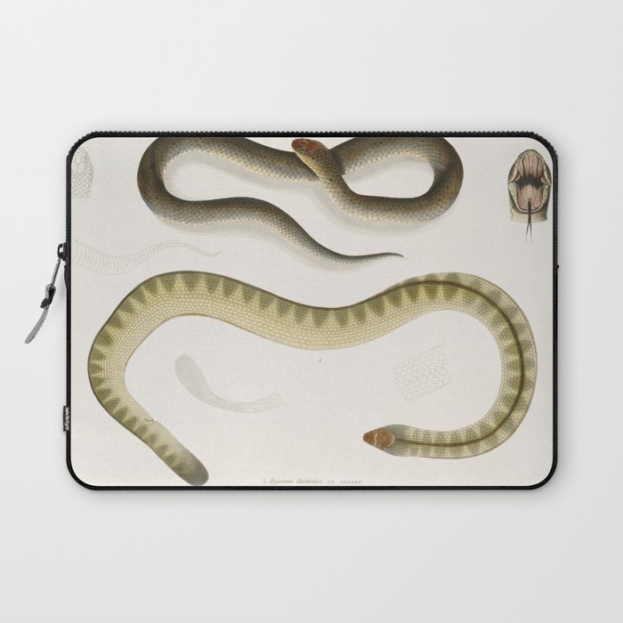 Penang Hypserina & Hardwicke's Short Sea Snake Laptop Sleeve