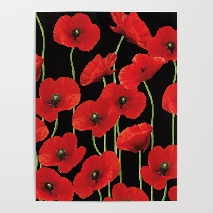Poppies Flowers black background pattern graphic Poster