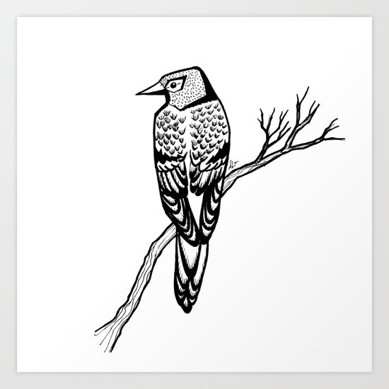 Bird on Branch Art Print