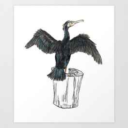 The Great Cormorant Art Print