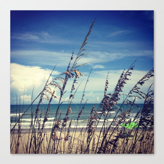 Through The Reeds Canvas Print