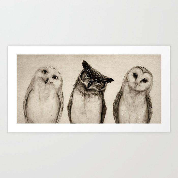 The Owl's 3 Kunstdrucke The Owl's 3 Kunstdrucke