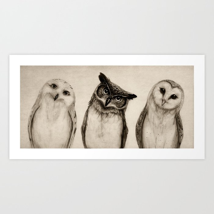 Wildlife bird art of three cute owls cocking their heads to one side with curious looks on their faces done in black and with with a sepie tint.