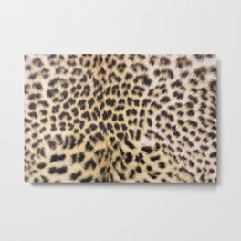 Leopard print Metal Print