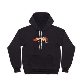 ARIES Hoody