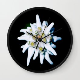 Edelweiss bloom Wall Clock