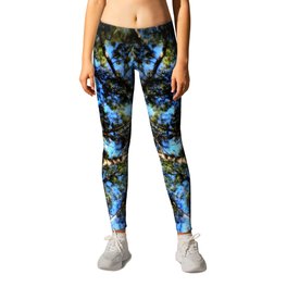 TREES ( A Blessed Glance Up) Leggings