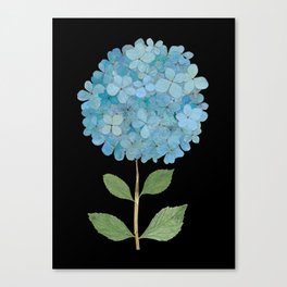 Beautiful real blue pressed hydrangeas herbarium z Canvas Print