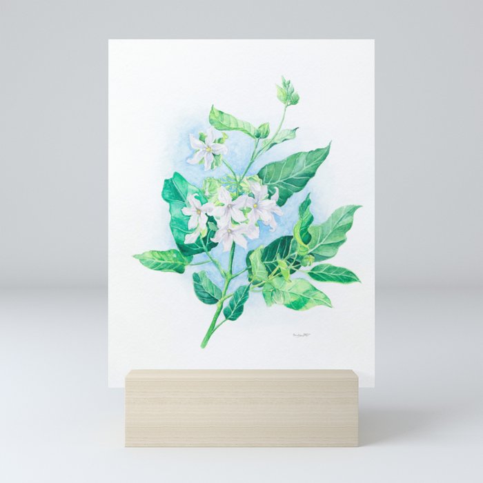 Vine Flowers Mini Art Print