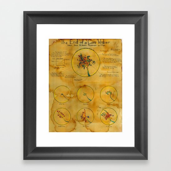 The End of a Cat's Whisker Framed Art Print