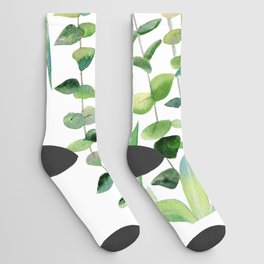 Mixed Eucalyptus  Socks