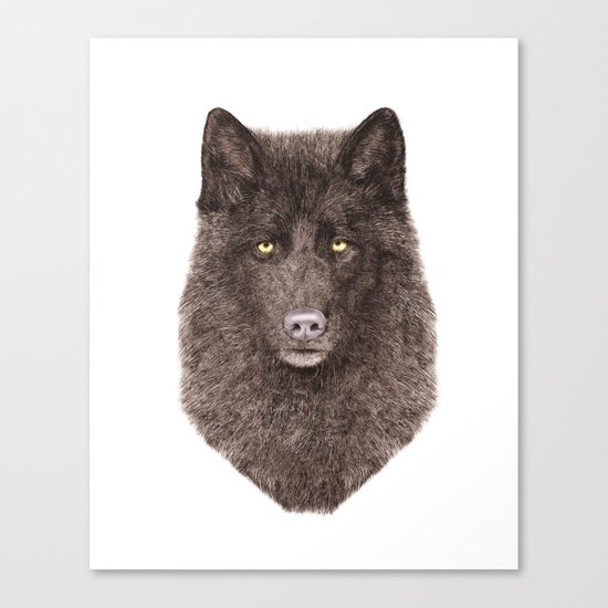 Black Wolf Canvas Print