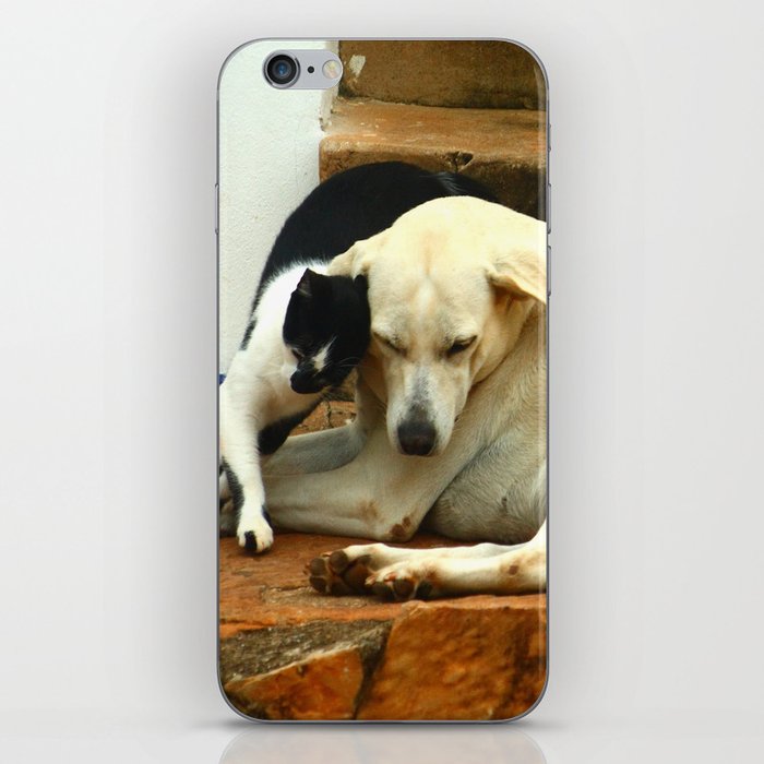Like cats and dogs iPhone Skin