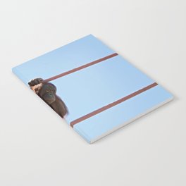 momma in the sky Notebook