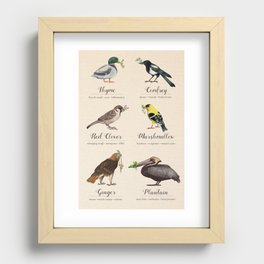 Birds, Herbs, and their Uses: Second Set Recessed Framed Print