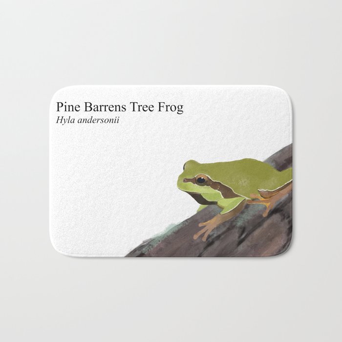 Pine Barrens Tree Frog (Hyla andersonii) on Pitch Pine Log Bath Mat