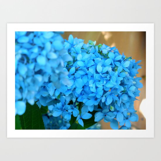 Treasure of Nature VIII Art Print