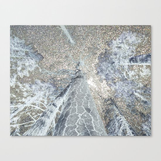 Serenade Canvas Print