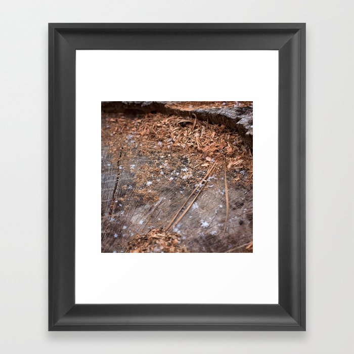 Snowflakes on the Trunk Framed Art Print