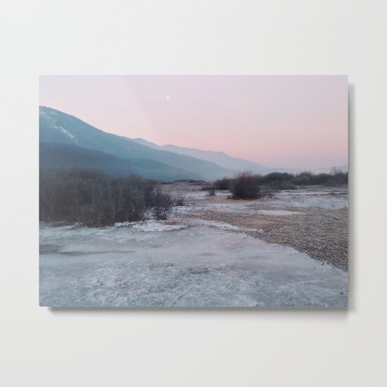 Frozen morning Metal Print