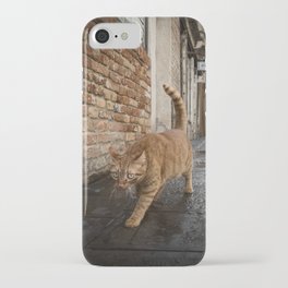 Street Cat iPhone Case