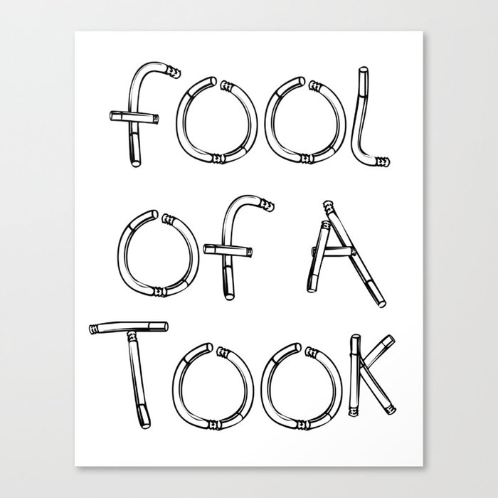 Fool of a Took Canvas Print