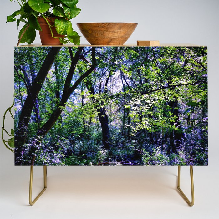 Pleasure of the Pathless Woods Credenza