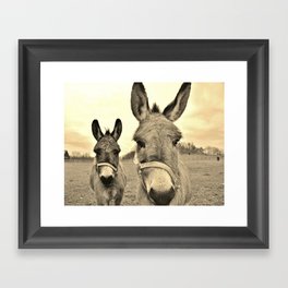 Miniature Donkeys X 2 Framed Art Print