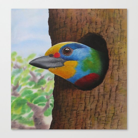 Beautiful Bird Canvas Print