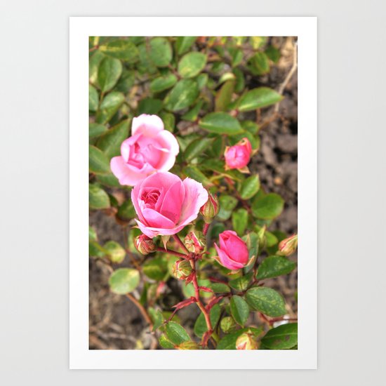 Pretty in Pink Art Print