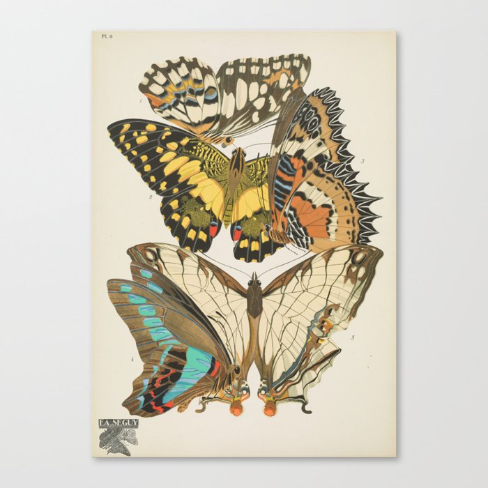 Canvas Print